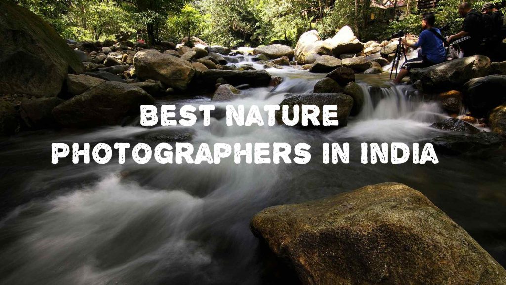 Top 10 Best Nature Photographers in India