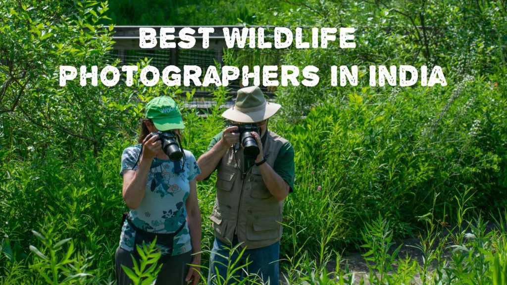 Top 10 Best Wildlife Photographers in India